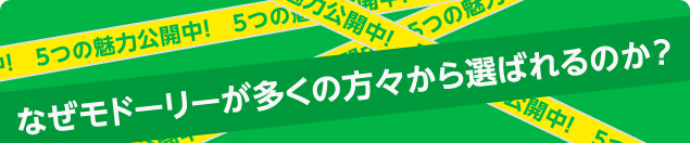 なぜモドーリーが多くの方々から選ばれるのか?